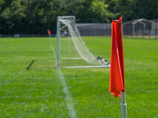 体和球迷的 体和球迷的