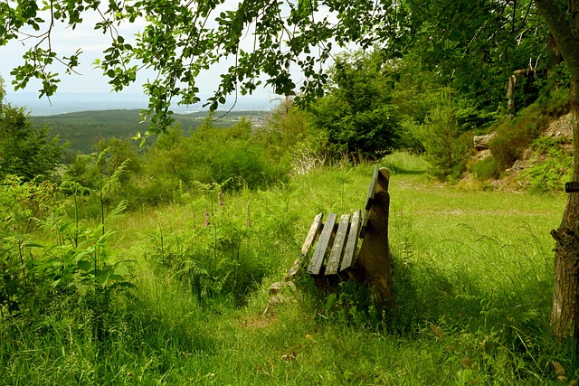 档楼盘中都 档楼盘中都